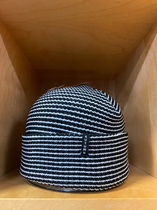 Autumn Stripe Beanie