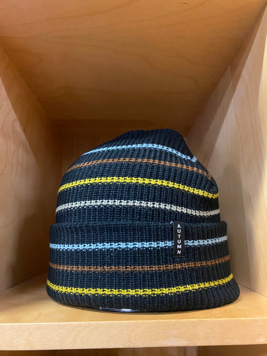 Autumn Multi Stripe Beanie