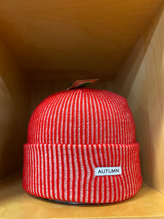 Autumn Cord Beanie