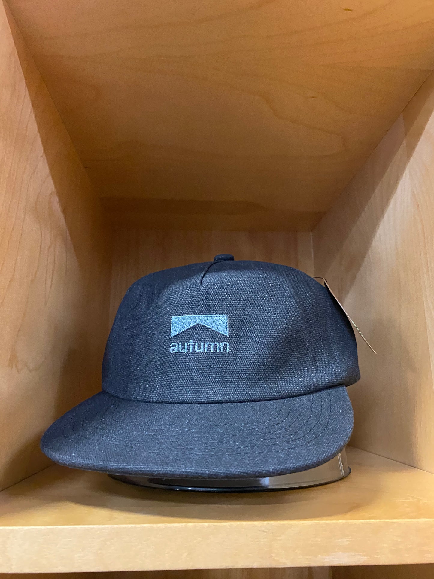 Autumn Washed Canvas Strapback