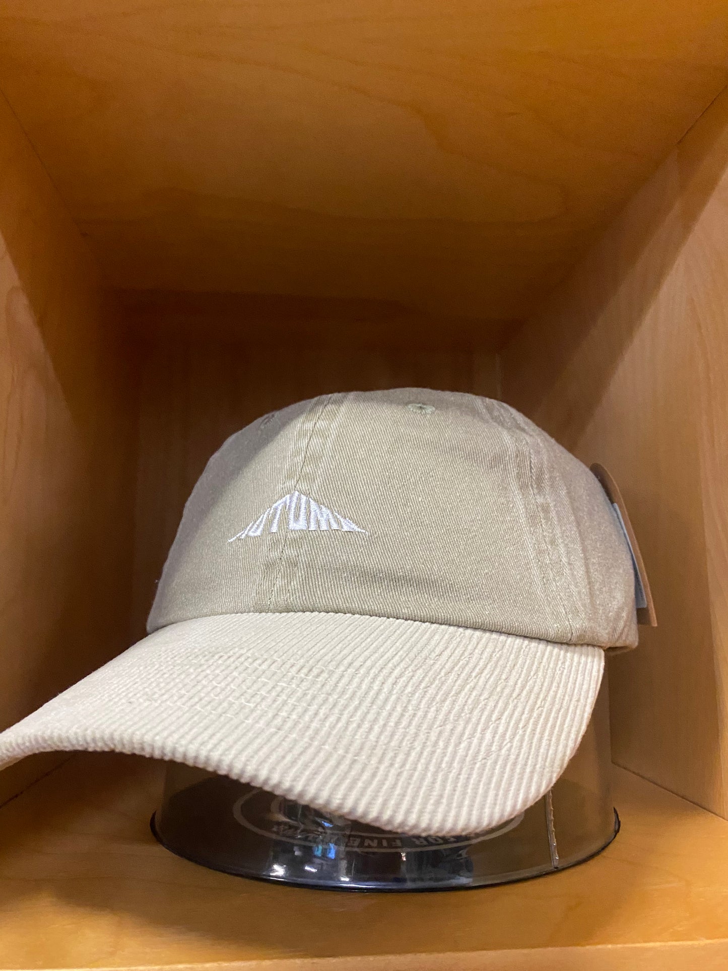 Autumn Pre-Washed Canvas Strapback