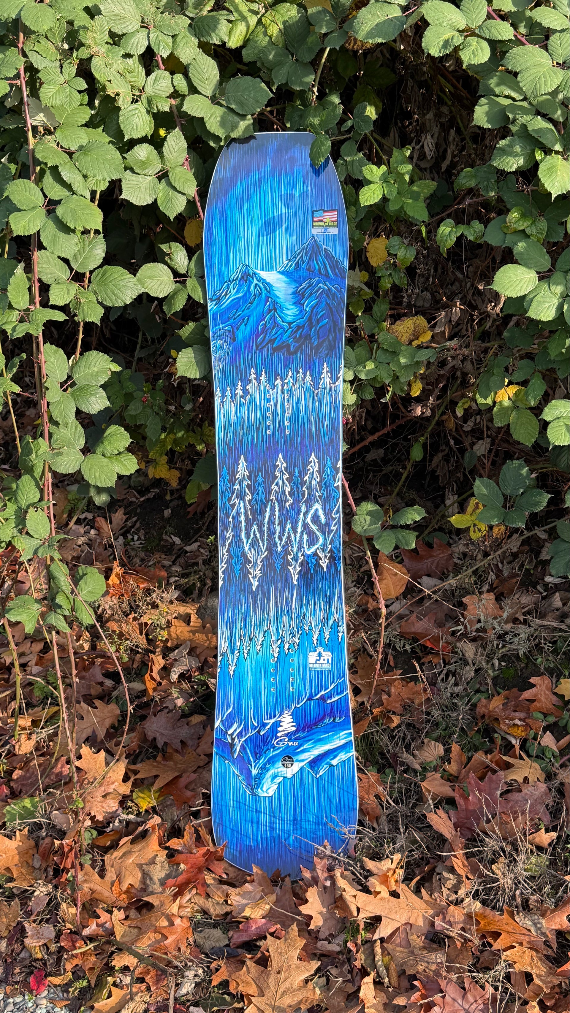 WWS x Mervin Gremlin Snowboard – WWS Boardshop
