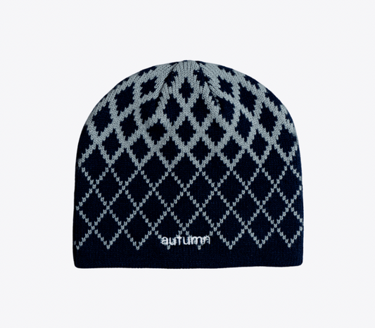 Autumn Warp Beanie