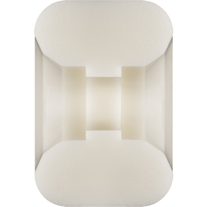 Powell Peralta Dragons